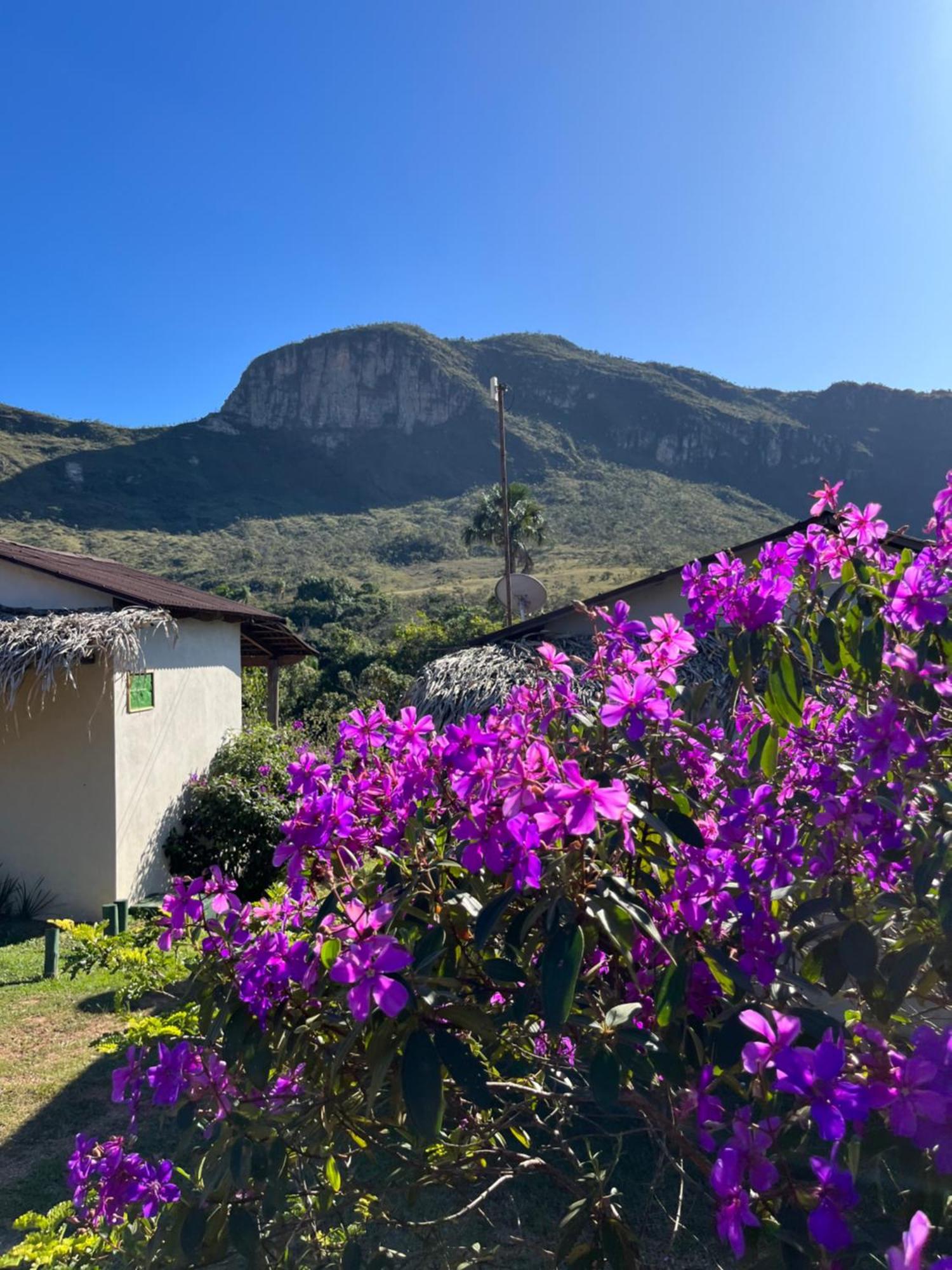 Pousada Rancho Dos Ipes Alto Paraíso de Goiás Dış mekan fotoğraf